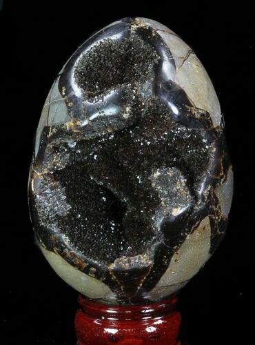 Septarian Dragon Egg Geode - Black Crystals #88519